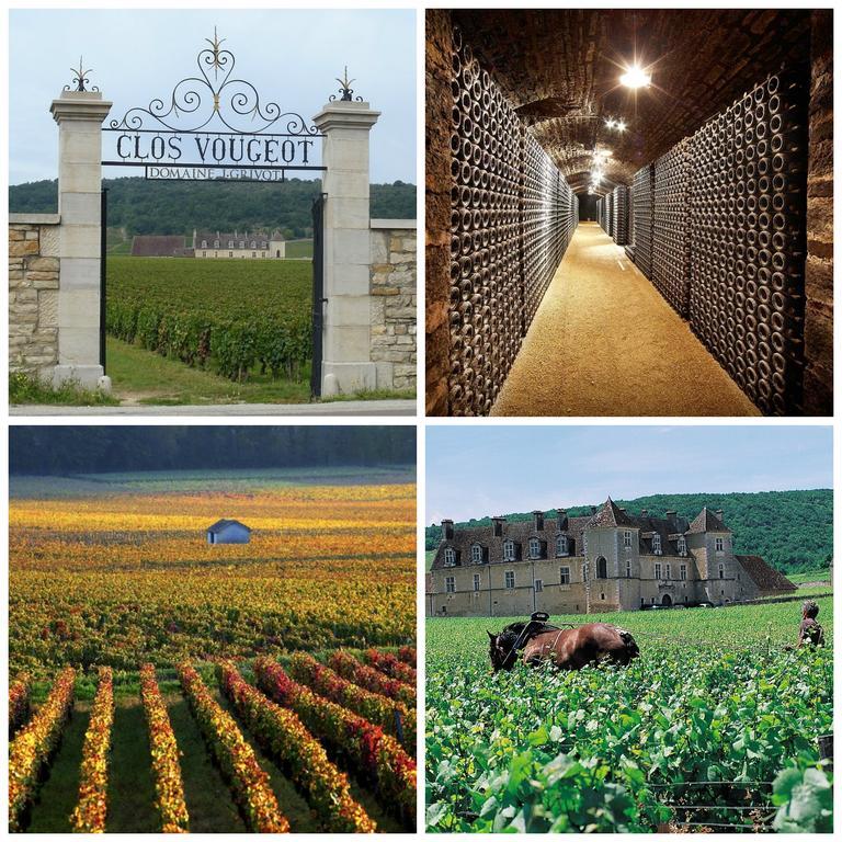 Datcha Bourguignonne Beaune Beaune  Exterior photo